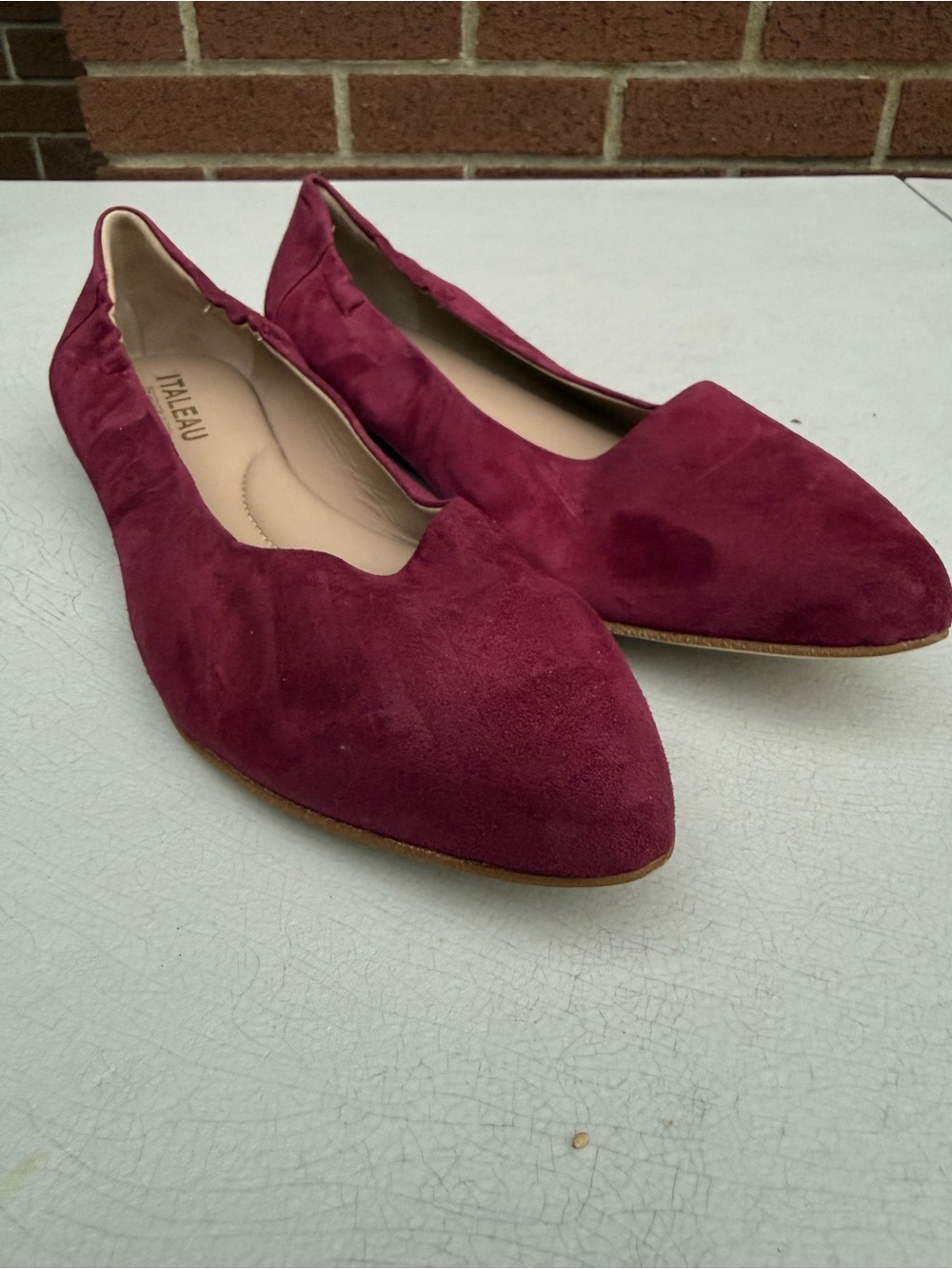 Italeau Mara Flat Dress Shoe Suede
Burgundy Almond Toe US 12 EU 44